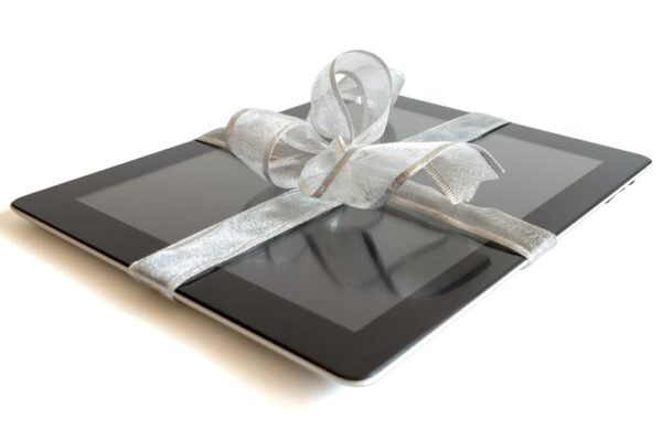 Electronic Retailers Have the Goods This Holiday Season
